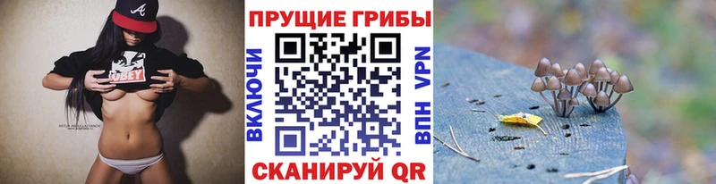 наркота  Ермолино  Псилоцибиновые грибы Psilocybine cubensis 